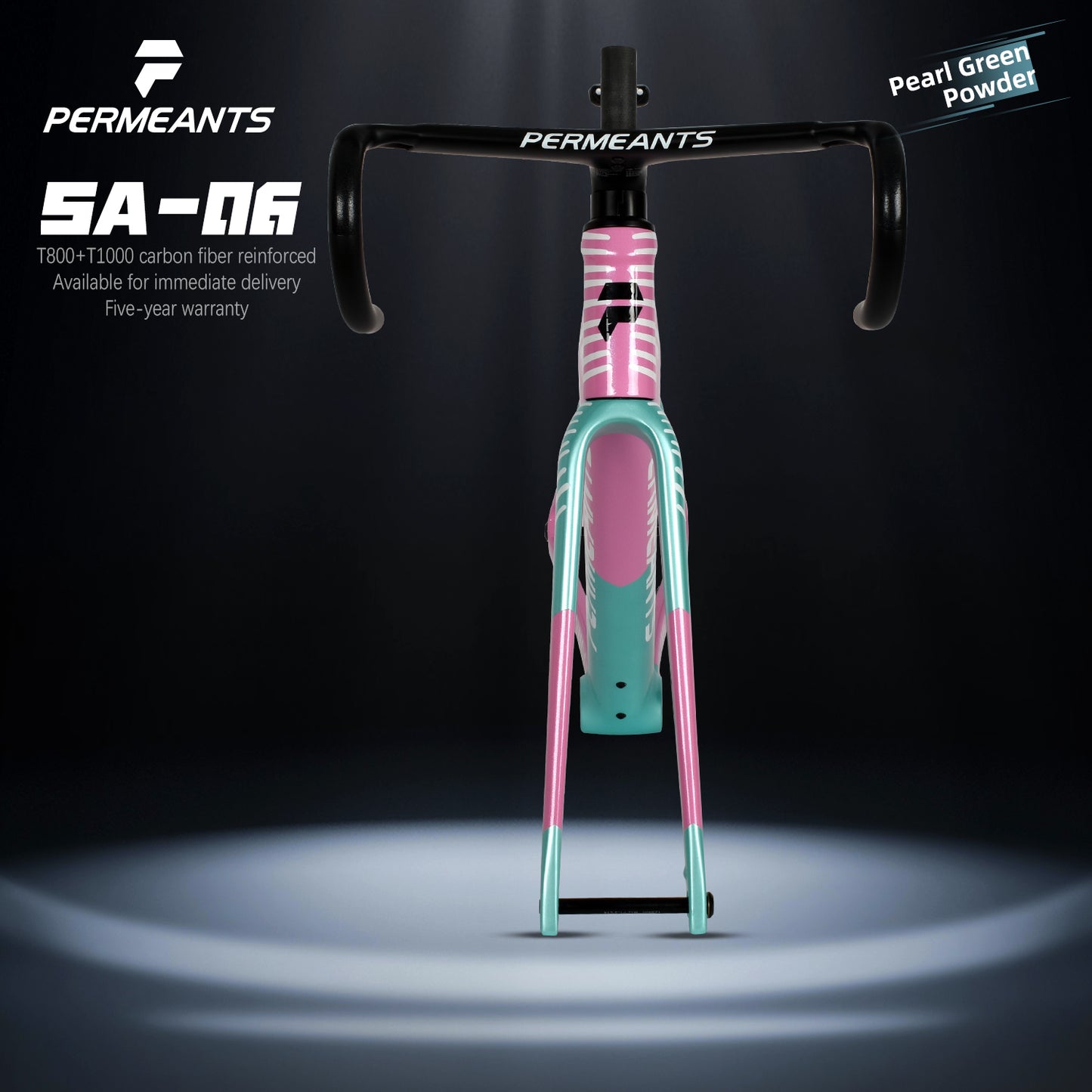 SA-06 Magnetic Storage Box All Carbon Road Disc Bike