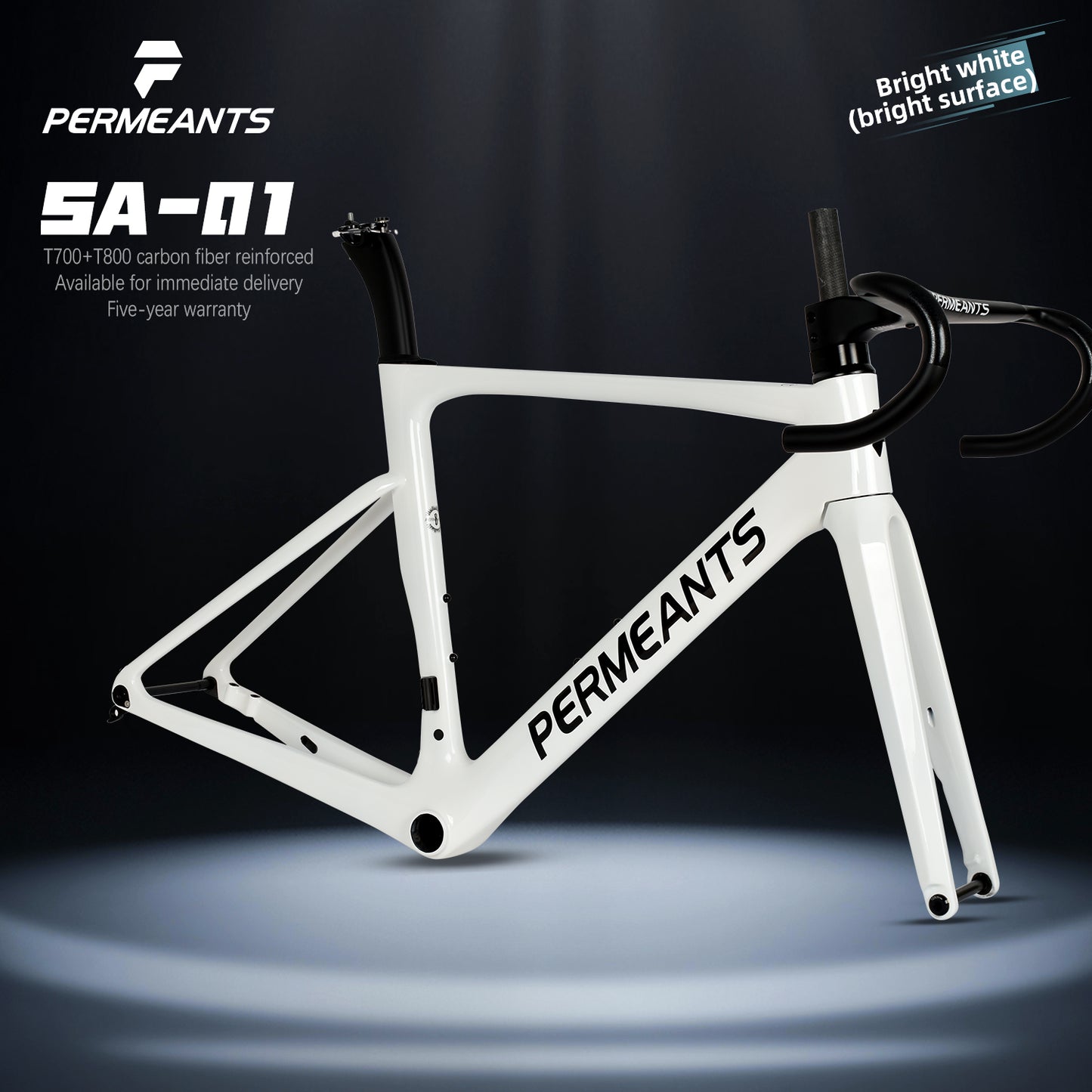 SA-01 Comprehensive Carbon Fiber Road frame