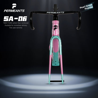 SA-06 Magnetic Storage Box All Carbon Road Disc Bike