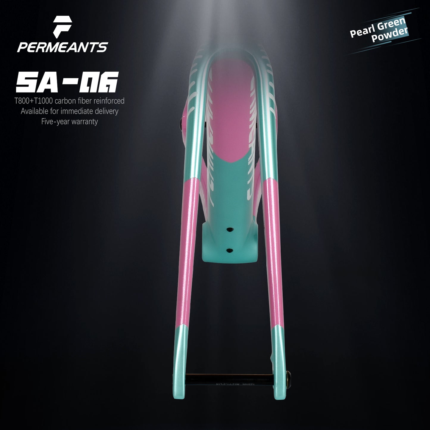 SA-06 Magnetic Storage Box All Carbon Road Disc Bike