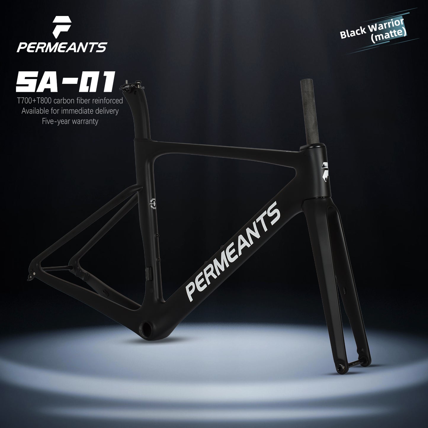 SA-01 Comprehensive Carbon Fiber Road frame