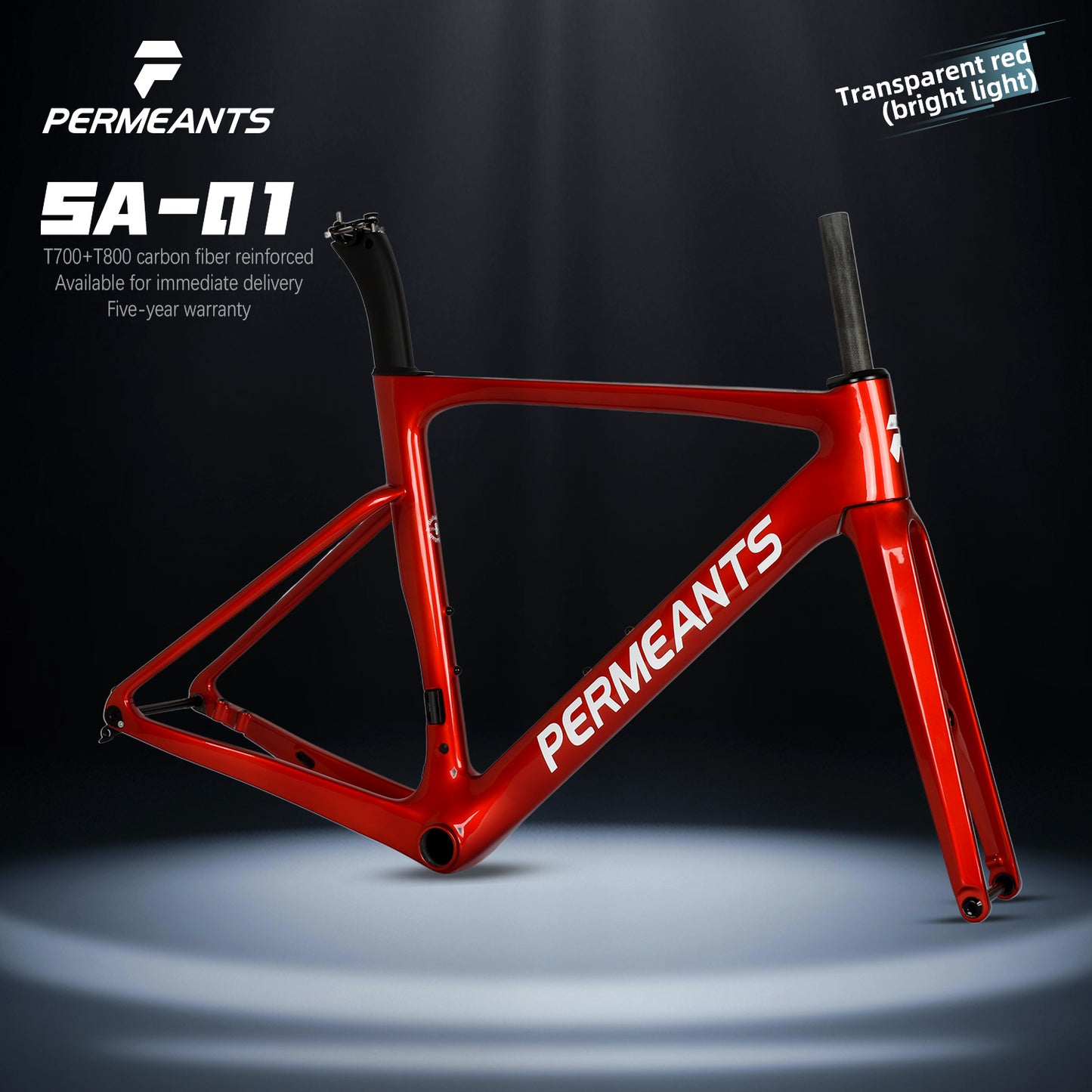 SA-01 Comprehensive Carbon Fiber Road frame