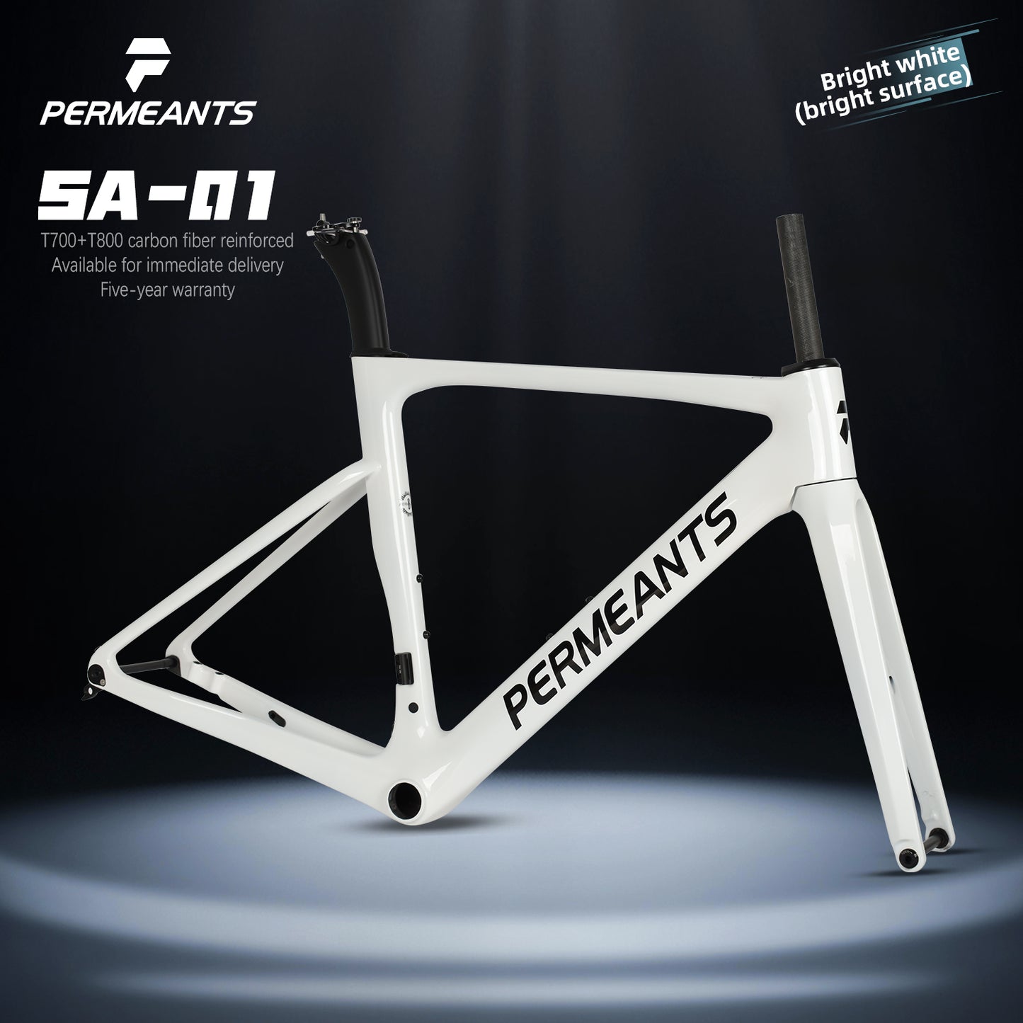SA-01 Comprehensive Carbon Fiber Road frame